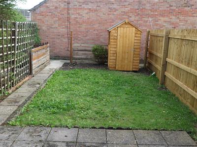 Picture 5